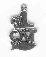 Sterling silver #1 cat charm