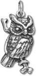 Silver Owl Charm