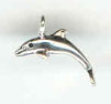 Silver dolphin charm