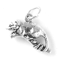 Sterling silver raccoon charm