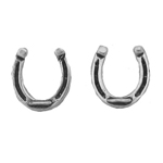 Sterling Silver Horse Shoe Luck Earrings
