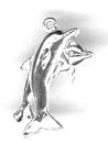 Silver Double Dolphins Charm