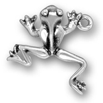 Silver frog charm