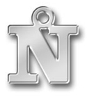 Pewter Letter N Charm