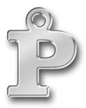 Pewter Letter P Charm